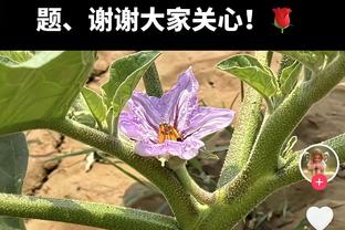 超级高效！麦康纳11中10得20分11助 末节8分主导灭火